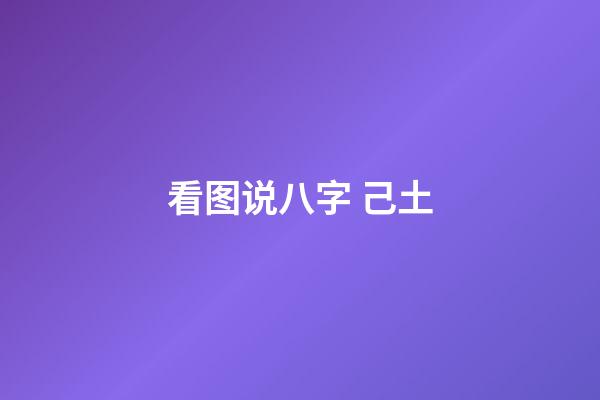 看图说八字 己土
